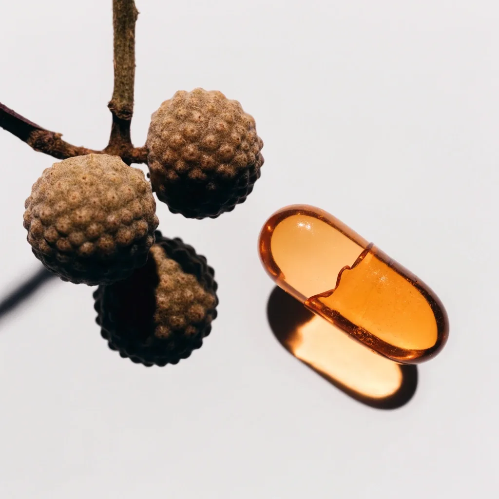 Dried saw palmetto berries and a halved softgel photographed on a matte surface